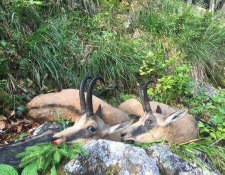 wta_2508_WhatsApp Image 2024-06-25 at 12.13.49