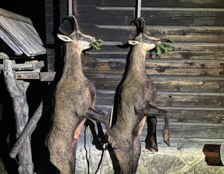 wta_2508_WhatsApp Image 2024-06-25 at 12.13.50 (1)