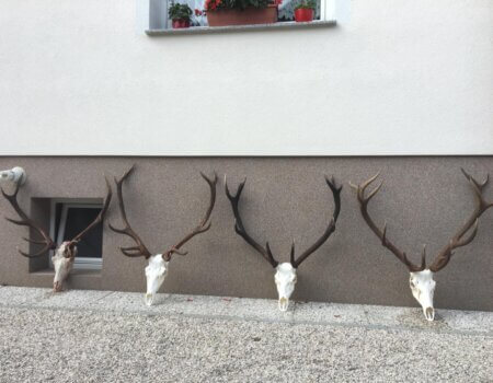 wta_2508_WhatsApp Image 2024-06-25 at 12.17.18 (1)