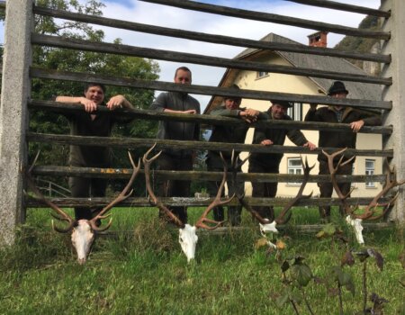 wta_2508_WhatsApp Image 2024-06-25 at 12.17.18 (2)