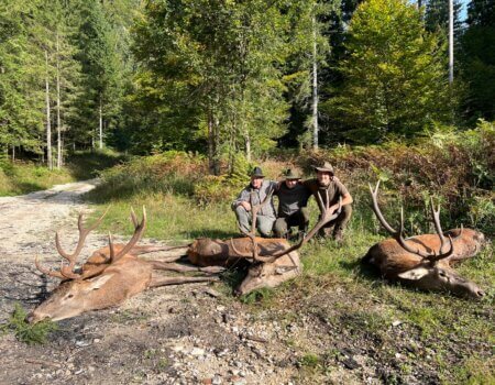 wta_2508_WhatsApp Image 2024-06-25 at 12.17.19 (2)