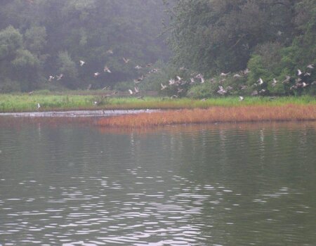 wta_2509_WhatsApp Image 2024-07-18 at 16.06.14