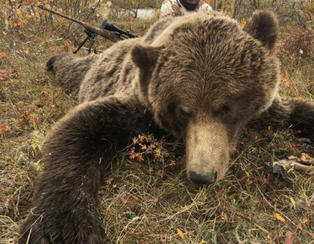 wta_2510_144DD3C7-3424-4F8D-9390-DEA1749DE735_1_105_c