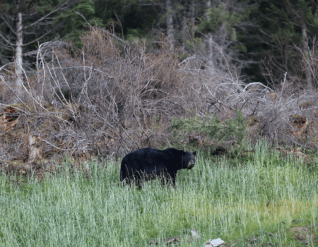 wta_2510_2024-03-23_14-19-21