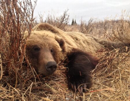 wta_2510_318DD569-1383-40E3-83C0-BB6C47B1458D_1_105_c