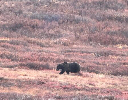 wta_2510_8F65F9F5-1C3D-417C-886E-CE05AE8B25A7_1_105_c