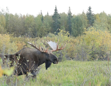 wta_2510_CE15DA25-0A51-4B86-9A7B-549178B6C168_1_105_c