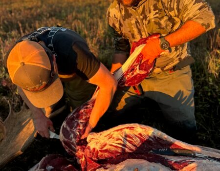 wta_2510_DF0F0789-557C-4C2A-B1D8-E9FF0E65C793