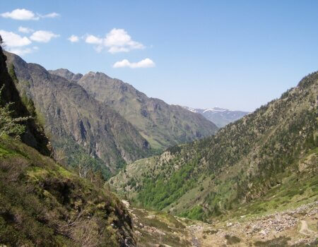 wta_2511_Espingo 05-2005 030