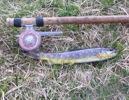 wta_2511_Espingo 05-2005 052