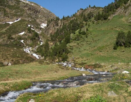 wta_2511_Espingo 05-2005 065