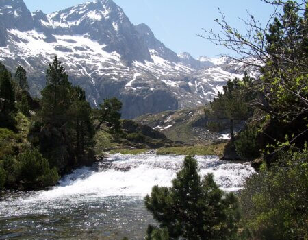 wta_2511_Espingo 05-2005 071