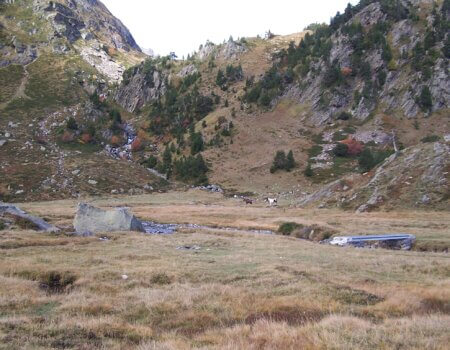 wta_2511_Espingo fermeture 2005 001