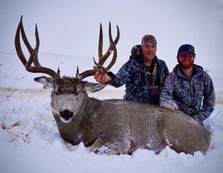 wta_2514_ttl-mule-deer-12