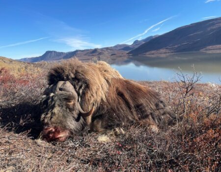 wta_2457_0844fde4-20df-4399-8436-10d91bcbd490