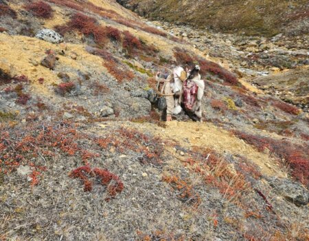 wta_2457_5ace92d4-cea8-4b85-850b-801999bb24d3