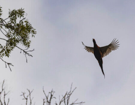 wta_2520_53D6CD5B-5C6E-421F-8AD8-140950122F07