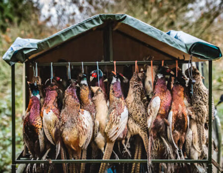 wta_2520_8E39FD80-56A3-4AEB-90B2-D9CDB14DFB21