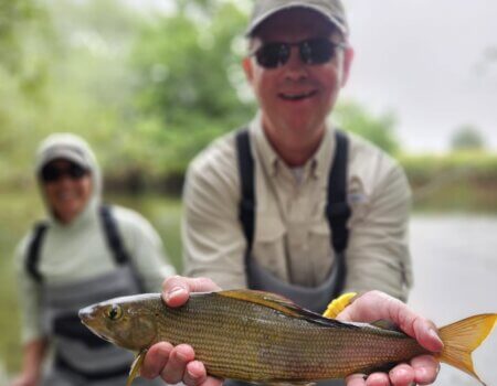 wta_2521_2024-06-22 19.55.51