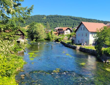 wta_2521_Cheryl Votzmeyer - 20210625_095936