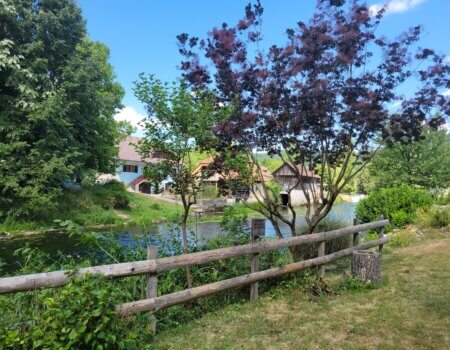 wta_2521_Cheryl Votzmeyer - 20210630_110150