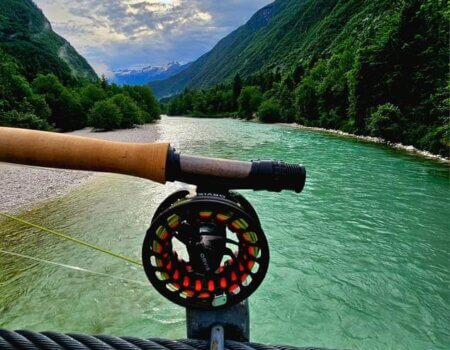 wta_2521_Pasted image (2)