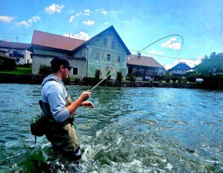 wta_2521_Pasted image (3)