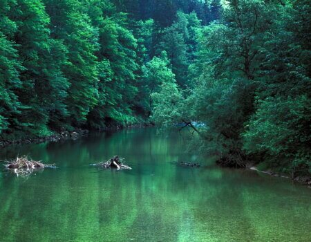 wta_2521_Sava Bohinjka05-03 (8)