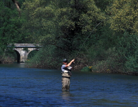 wta_2521_unica 6-5-03-7