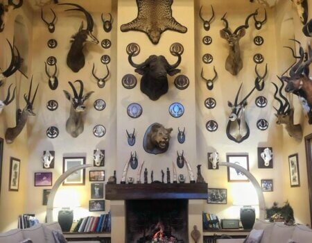 wta_2525_WhatsApp Image 2022-08-08 at 9.35.00 PM (6)