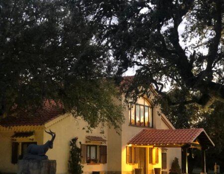 wta_2525_WhatsApp Image 2022-08-08 at 9.35.00 PM (7)