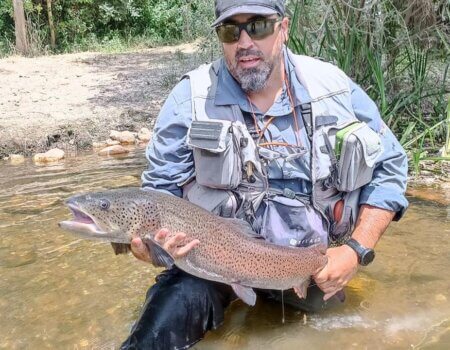 wta_2525_WhatsApp Image 2024-08-07 at 15.12.27 (1)