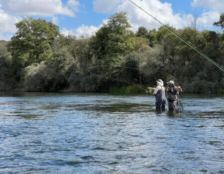 wta_2525_WhatsApp Image 2024-08-07 at 15.12.30 (2)