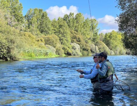 wta_2525_WhatsApp Image 2024-08-07 at 15.12.30 (3)