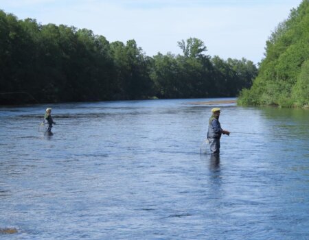 wta_2525_WhatsApp Image 2024-08-07 at 15.12.30 (5)