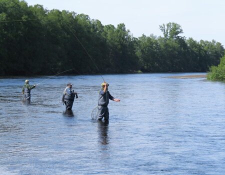 wta_2525_WhatsApp Image 2024-08-07 at 15.12.30 (8)