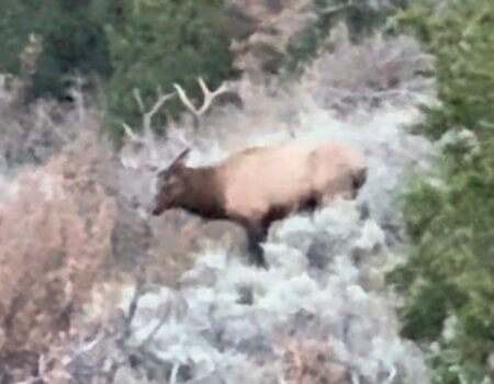 wta_2526_7853397310847390371