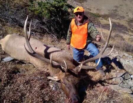 Colorado Unit 49 elk hunt