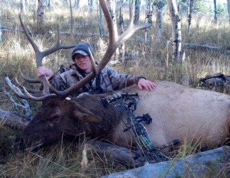 Colorado Unit 49 elk hunt