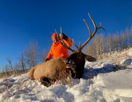 Colorado Unit 49 elk hunt