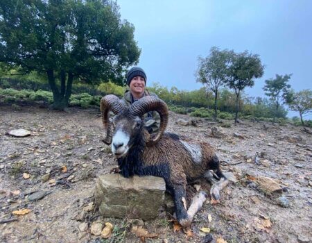 wta_2534_Central European Mouflon Macedonia (1)