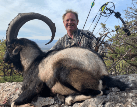 wta_2534_Kri-Kri Ibex Hunting