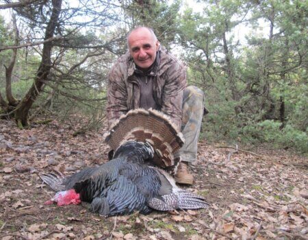 wta_2534_Wild Turkey