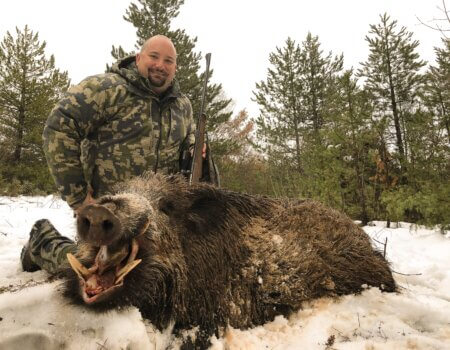 wta_2534_Wild boar (3)