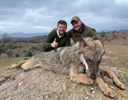 wta_2534_Wolf Macedonia 23 (SCI) 2