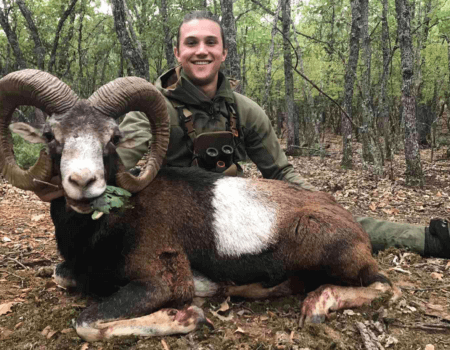 wta_2534_mouflon macedonia (1)