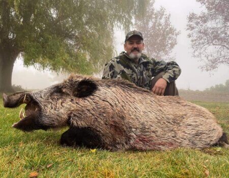 wta_2534_wild boar 2020 2 (1)