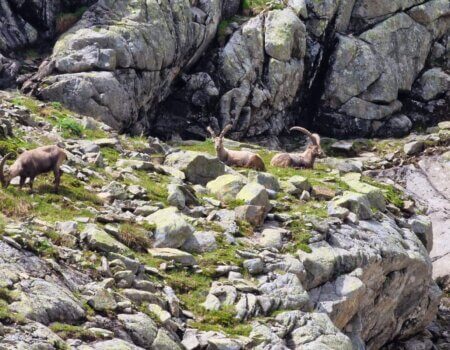 wta_2535_WhatsApp Image 2024-06-11 at 19.12.57 (2)