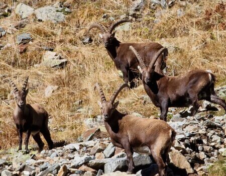 wta_2535_WhatsApp Image 2024-06-11 at 19.12.57 (3)