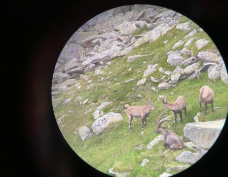 wta_2535_WhatsApp Image 2024-08-12 at 15.50.24